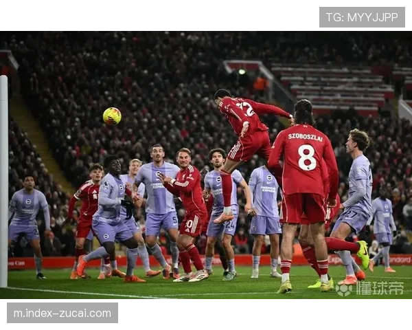 埃基蒂克4场3球1助攻 利物浦新援迅速融入战术体系